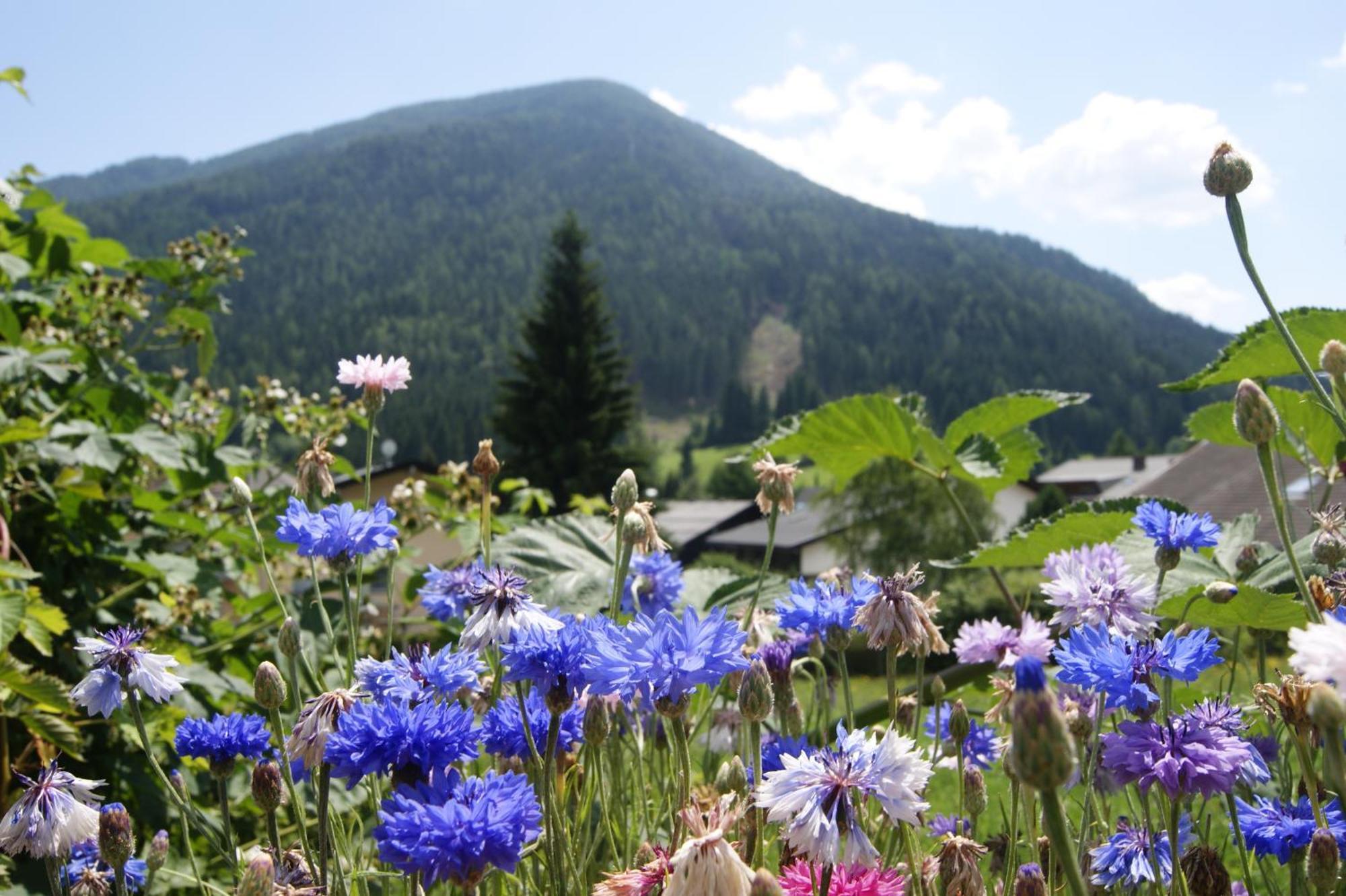 Hotel Sonnenheim Bad Kleinkirchheim Exterior foto